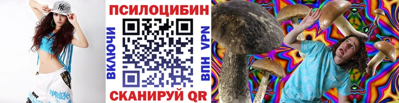 цены наркотик  Дальнегорск  Псилоцибиновые грибы MAGIC MUSHROOMS 